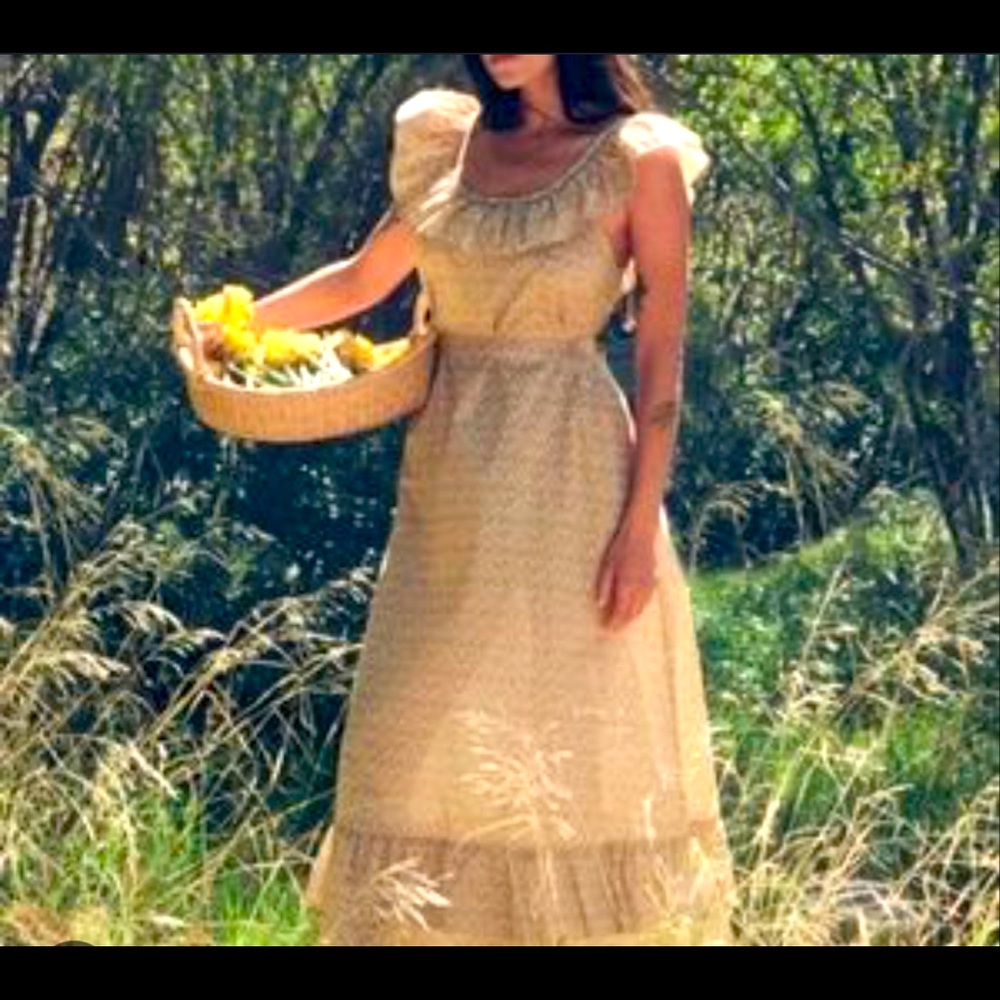 Christy Dawn Collette Dress Brand New